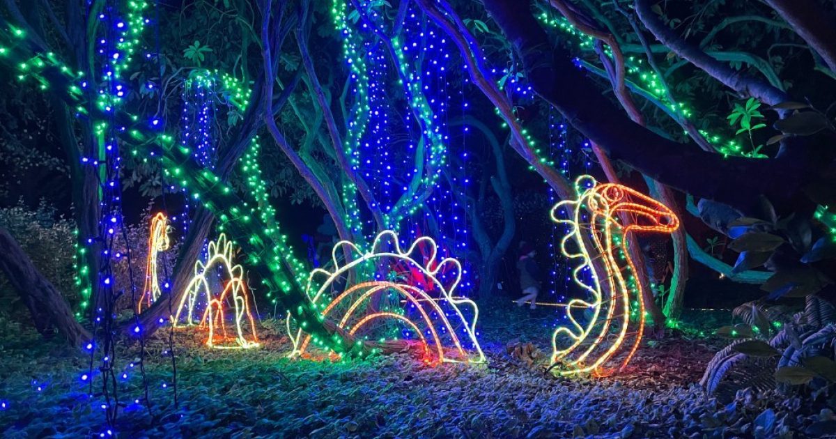 Mendocino Coast's Botanical Gardens Light Up the… Sonoma Clean Power